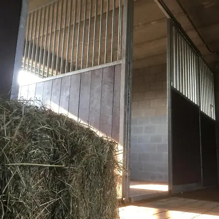 Vakantiewoning Pelterheggen Villa Grote Heide