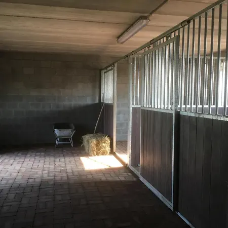 Vakantiewoning Pelterheggen Villa *